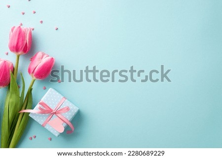 Mother's Day decorations concept. Top view photo of bunch of pink tulips small blue giftbox with ribbon bow and heart shaped sprinkles on isolated pastel blue background with copyspace