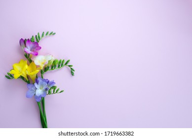 フリージア イラスト Stock Photos Images Photography Shutterstock