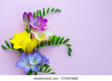 フリージア イラスト Stock Photos Images Photography Shutterstock