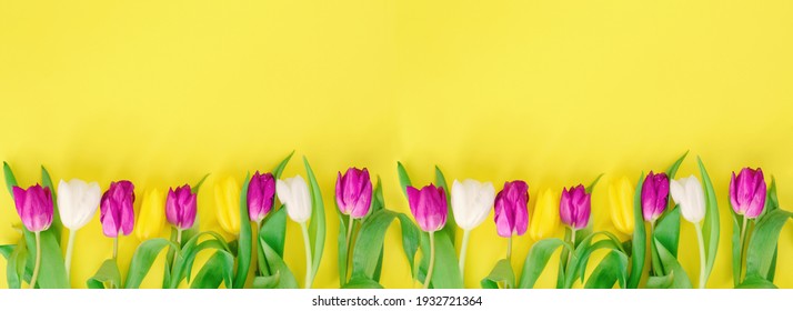 Spring Flowers Banner Images Stock Photos Vectors Shutterstock