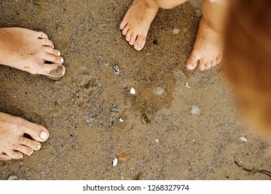 Mother's and doughter's feet on the wet sand. Summer family vacation.