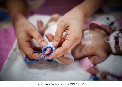 Mother's Hand Holding Feet Of New Born Baby Sick In Incubator Chamber In Hospital