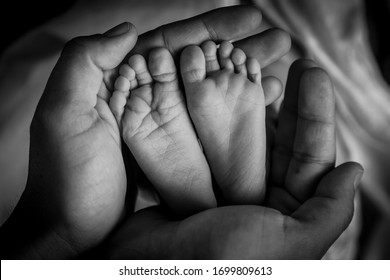 A mothers hands cupping her babies feet. A newborn baby's feet in it's parents hands.  - Shutterstock ID 1699809613