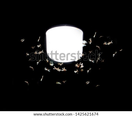 Moths fly around a lighting lamp in street of night city Hanoi, Vietnam.