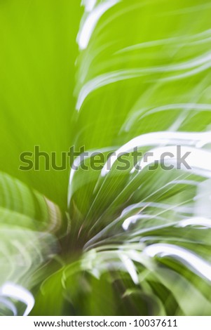 Similar – Image, Stock Photo flytrap III Plant