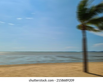 A motion blur of a coconut tree blown by the sea by the wind.