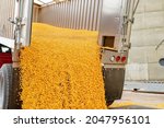 Motion blur of corn unloading from truck at grain elevator. Harvest season, grain storage and commodity market concept.