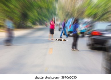 Motion Blur Image Of The Dog Was Hit By A Car.