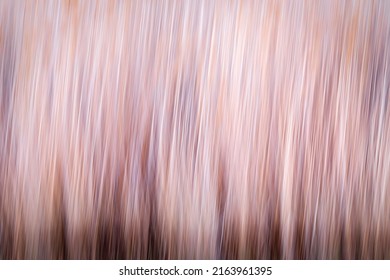 Motion Blur Nature Background. Abstract Nature. 