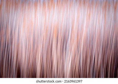 Motion Blur Nature Background. Abstract Nature. 