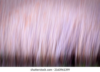 Motion Blur Nature Background. Abstract Nature. 