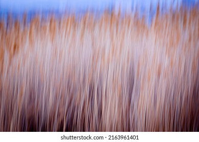 Motion Blur Nature Background. Abstract Nature. 