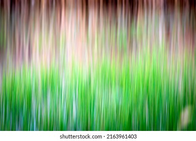 Motion Blur Nature Background. Abstract Nature. 