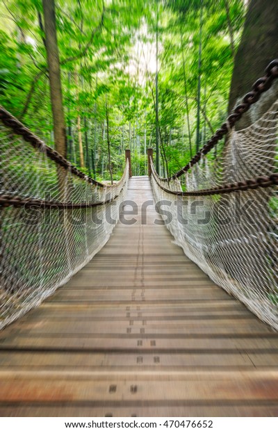 Motion blur\
suspension bridge in the\
forest