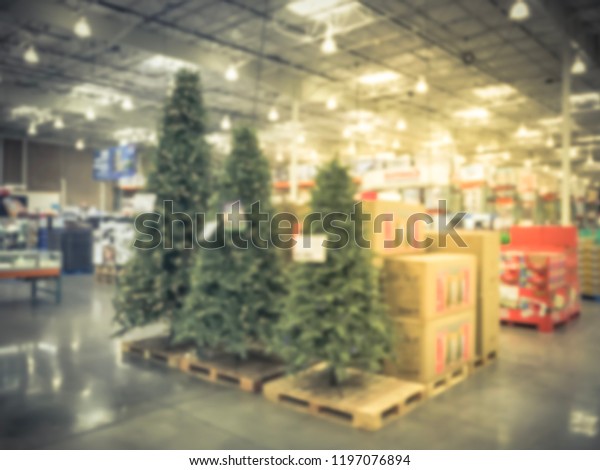 Motion Blurred Tall Big Christmas Trees Stock Photo Edit Now