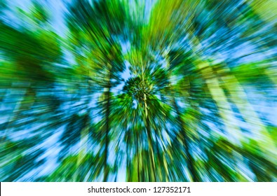 Motion blurred of the trees for background