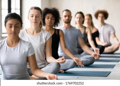 Motivated Calm Mindful Young Mixed Race People In Active Wear Sitting On Floor Mat In Row, Involved In Deep Meditation With Closed Eyes In Padmasana Lotus Open Hips Position And Mudra Fingers Sign.