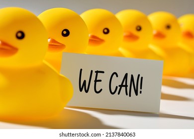 Motivation, Persistence, Courage, Determination Or Confidence In Business Concept. Rubber Ducks In A Row Carry A Signboard With The Message We Can.