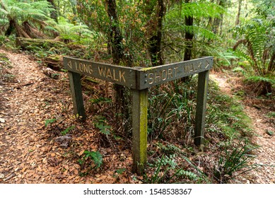 motivation sign "long walk and short walk" in the forest 