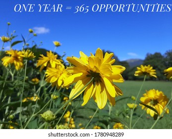 1 Year 365 Opportunities Bilder Stockfotos Und Vektorgrafiken Shutterstock