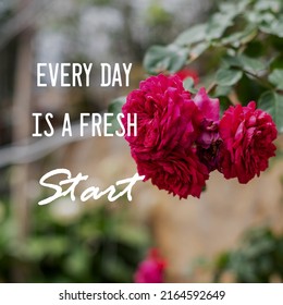 Motivational Inspirational Quotes Every Day Fresh Stock Photo 