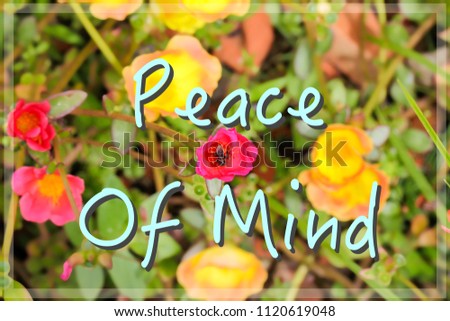 Motivational Inspirational Quotes Peace Mind Nature Flower Stock