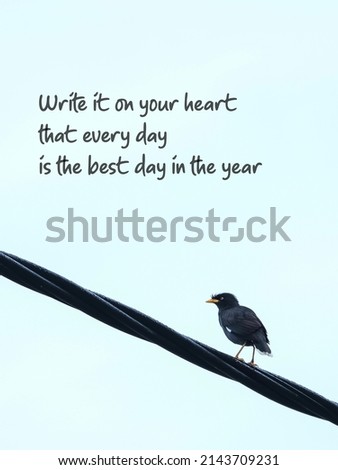 motivational quote about life with unfocussed bird sitting on wire