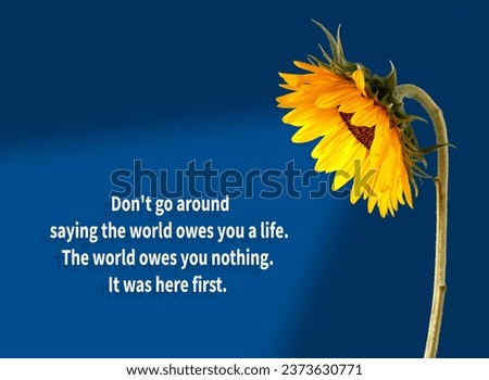 Motivational quote Don't go around saying the world owes you a life. The world owes you nothing. It was here first.