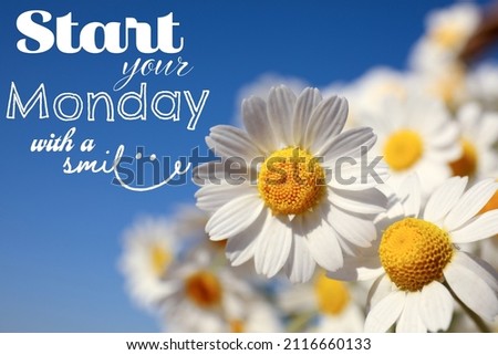 Motivational quote Start your Monday with a Smile and beautiful blooming chamomiles outdoors on sunny day