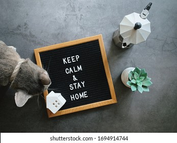 Motivational Quote Word Keep Calm And Stay Home On Notice Board With Coffee And Cute Cat On Black Stone Background, Stay Home And Self Quarantine Concept For Prevent Covid 19 And Coronavirus Pandemic