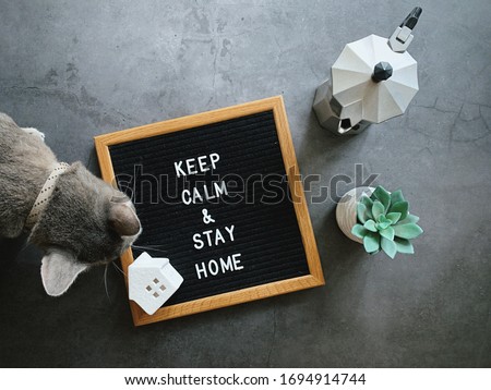 Motivational quote word keep calm and stay home on notice board with coffee and cute cat on black stone background, stay home and self quarantine concept for prevent covid 19 and coronavirus pandemic