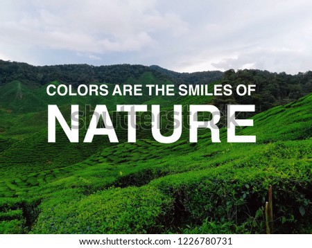 Motivational Quotes Colors Smiles Nature Over Stock Photo Edit Now