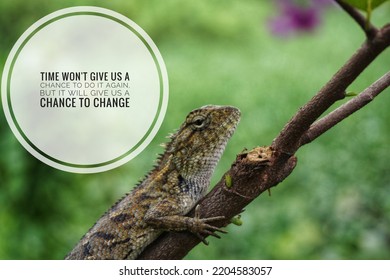 Motivational Quotes And Inspire Time Won't Give Us A Chance To Do It Again, But It Will Give Us A Chance To Change With Background Iguana