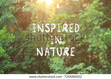 Motivational Quotes Inspired Nature Blurred Background Stock Photo