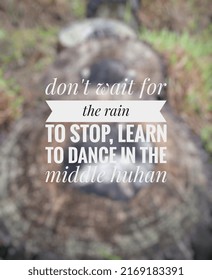 motivational words waiting for the rain to stop - Shutterstock ID 2169183391