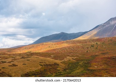 Motley autumn landscape with sunlit hills and mountain range silhouette under dramatic cloudy sky. Vivid autumn colors in mountains. Sunlight on multicolor hills and rainy clouds in changeable weather