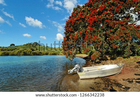 Motor boat and Pohutukawa tree, a beach in Bay of Islands, New Zealand
