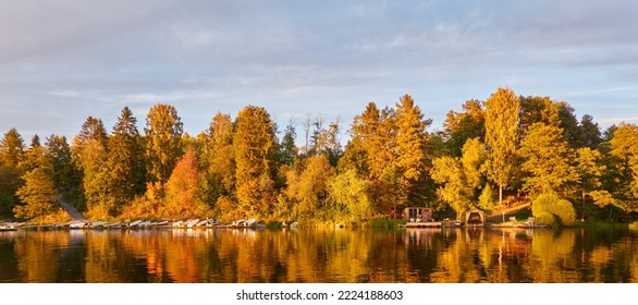 Motor boats, cutters and small fishing boats standing on land near the evergreen forest. Suiro lake (Kulovesi), Finland. Nature, ecotourism, hiking, camping concepts - Powered by Shutterstock