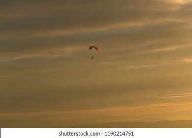 Flying Wild Barn Owl Hunting Sunset Stock Photo (Edit Now) 1317071813