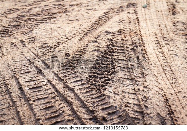 motorcycle and car tire track print on sand or mud\
with selective focus