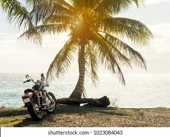 Motorcycle Near Palm Trees, Sea, Beach