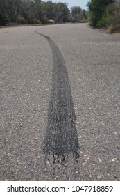 Motorcycle skid mark (tyre track)