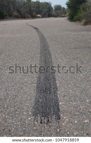 Foto Bild Natur Sand Herbst Wald