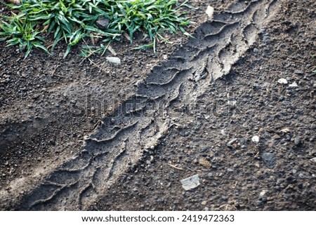 Similar – Image, Stock Photo tracks in the wet sand. prints of birds’ feet.