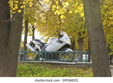 Motorcycle, trees
