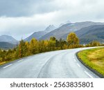 A motorhome parked by the road in the autumn landscape of Senja Island, Norway, with fjords and mountains.