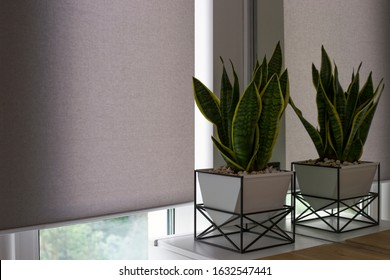 Motorized roller shades. Automatic blinds on the window. A houseplant in a modern pot stands on the bedside wooden table next to roller shades. Roller blinds are made from texture material. - Shutterstock ID 1632547441