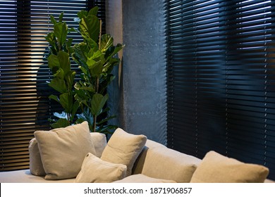 Motorized wood blinds in the interior. A houseplant is near black wood blinds. Closeup on the large windows. Coulisse wooden slats 50mm wide. Venetian blinds closed in the living room. 