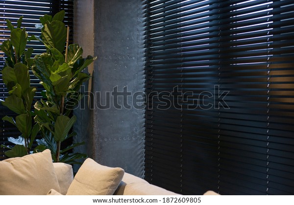 Motorized\
wood blinds in the interior. A houseplant is near black wood\
blinds. Closeup on the large windows. Wooden slats 50mm wide.\
Venetian blinds closed in the living room.\
