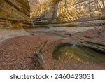 Mottled Morning Light in a Hidden Canyon in LaSalle Canyon in Starved Rock State Park in Illinois